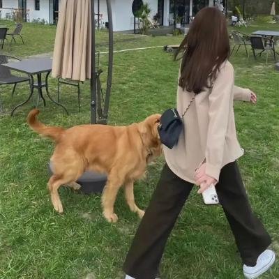 与君重逢时
